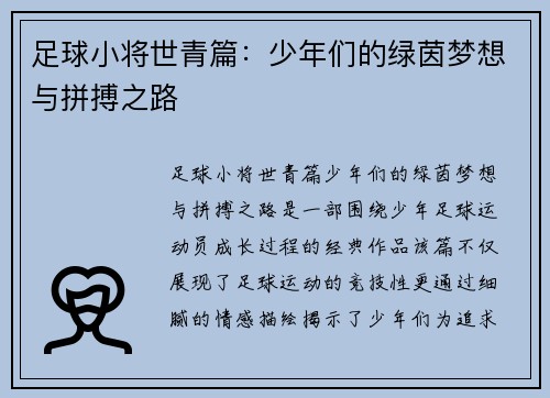 足球小将世青篇：少年们的绿茵梦想与拼搏之路